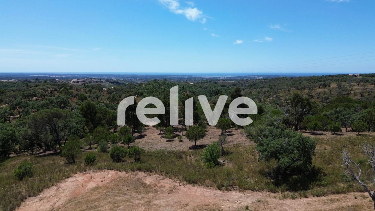 Terreno para Venda em São Francisco da Serra Foto 4