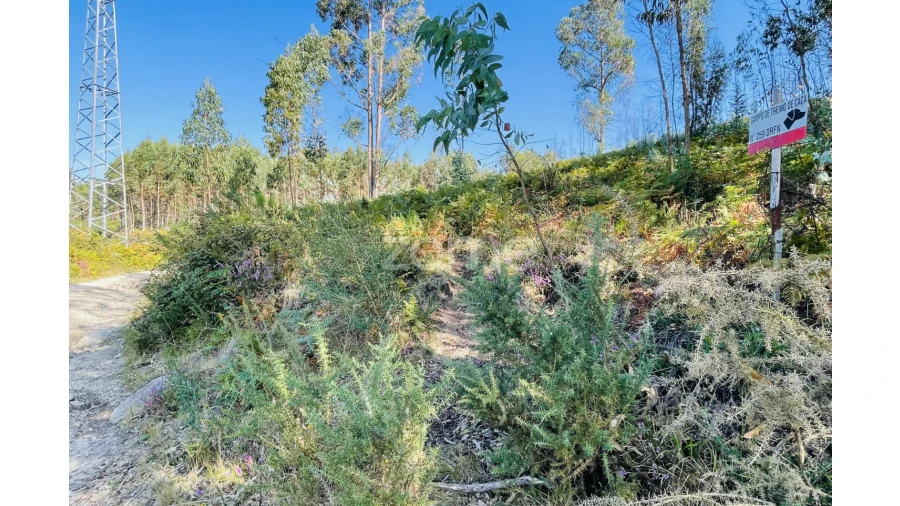 Terreno para Venda em Caniçada e Soengas Foto 8