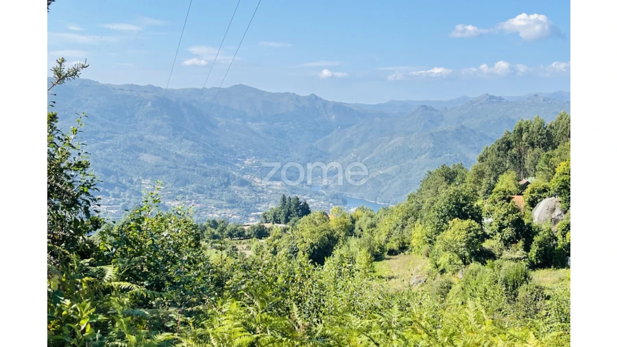 Terreno para Venda em Caniçada e Soengas Foto 3