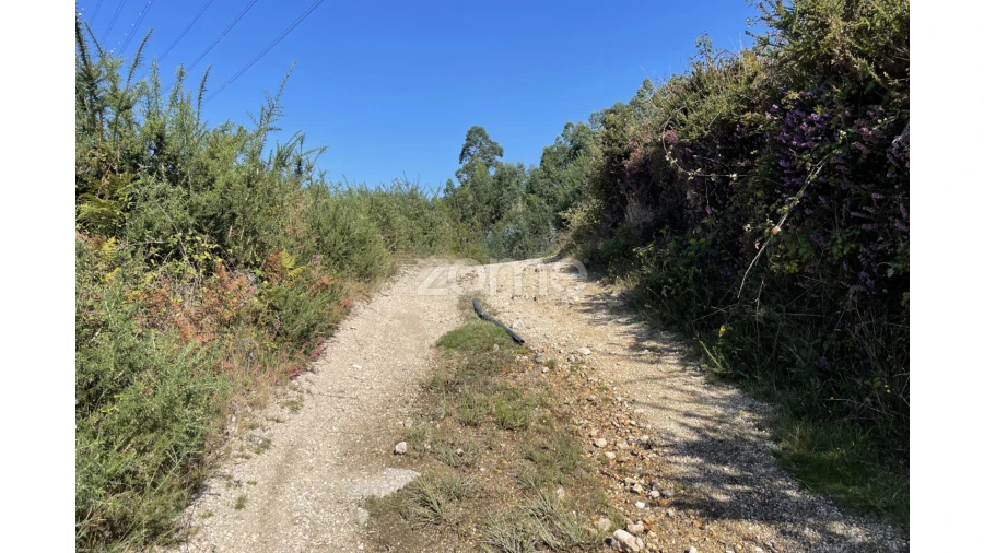 Terreno para Venda em Caniçada e Soengas Foto 17