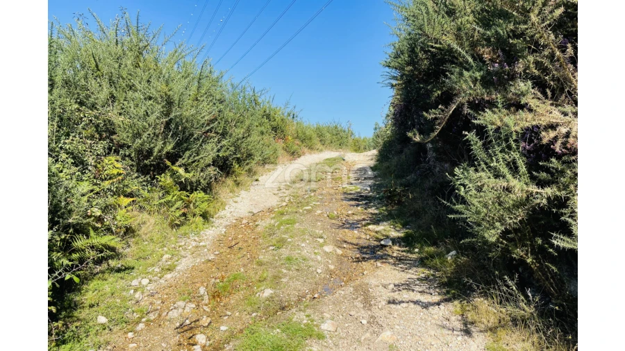 Terreno para Venda em Caniçada e Soengas Foto 18