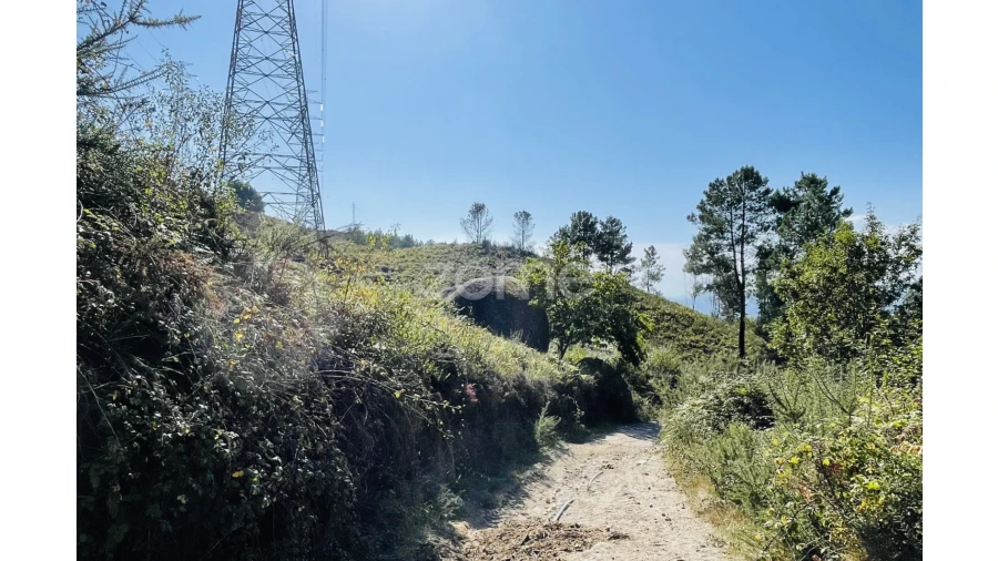 Terreno para Venda em Caniçada e Soengas Foto 22
