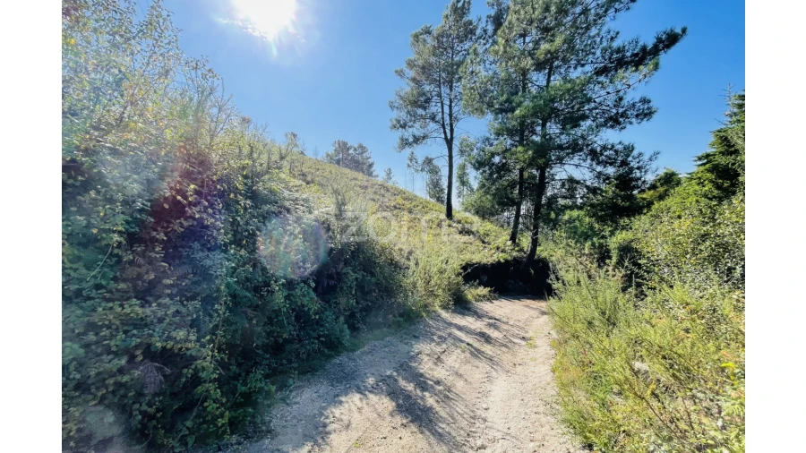 Terreno para Venda em Caniçada e Soengas Foto 24