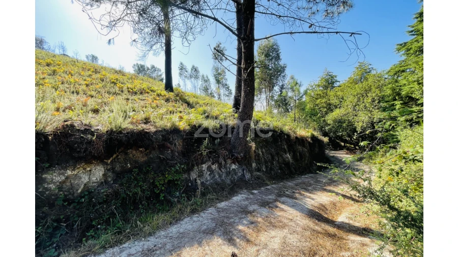 Terreno para Venda em Caniçada e Soengas Foto 25