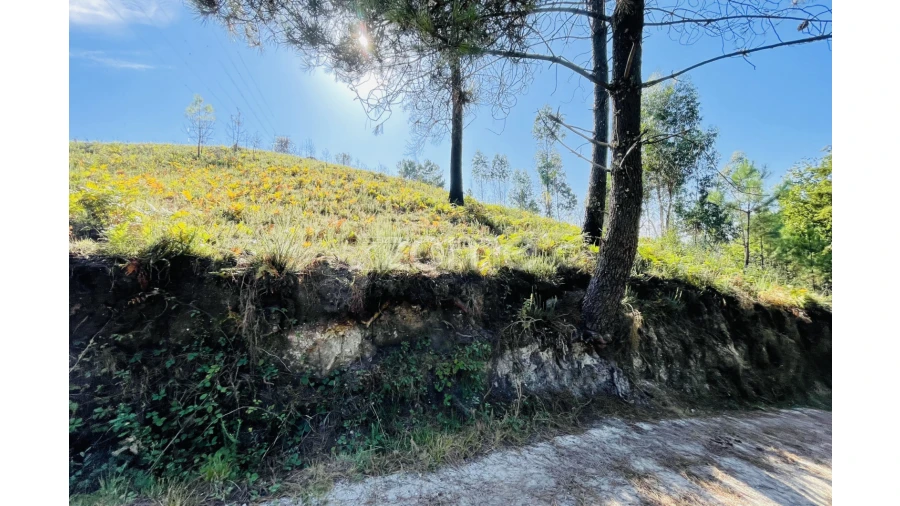 Terreno para Venda em Caniçada e Soengas Foto 27