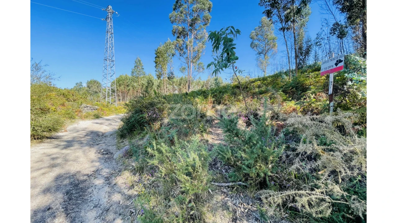 Terreno para Venda em Caniçada e Soengas Foto 6