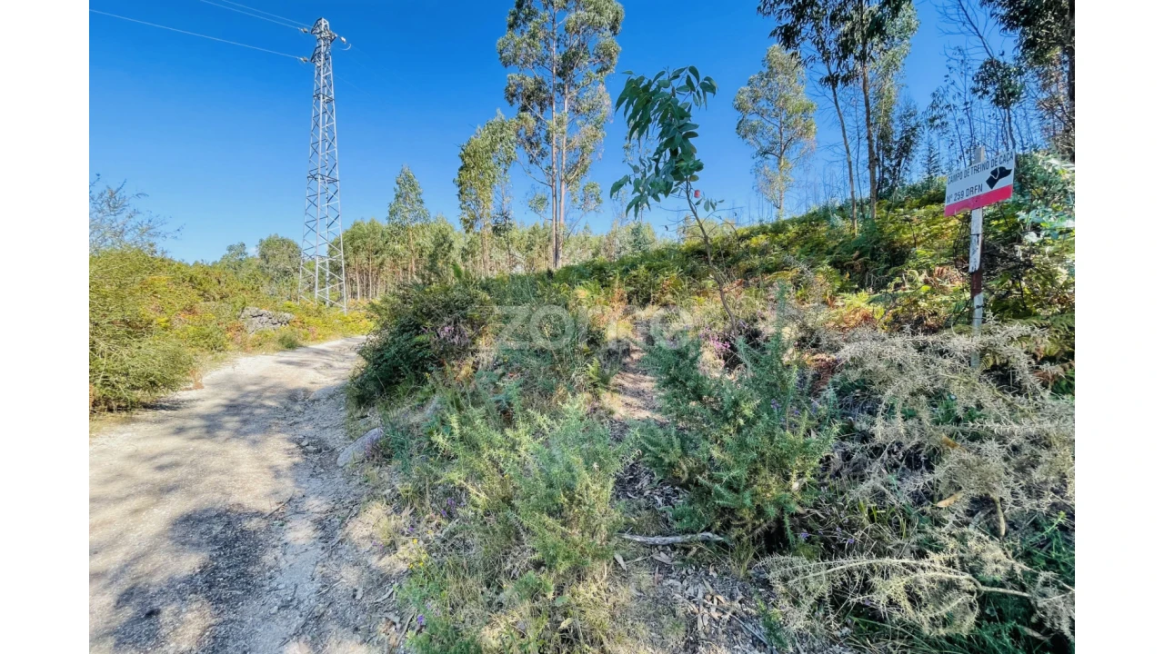 Terreno para Venda em Caniçada e Soengas Foto 7