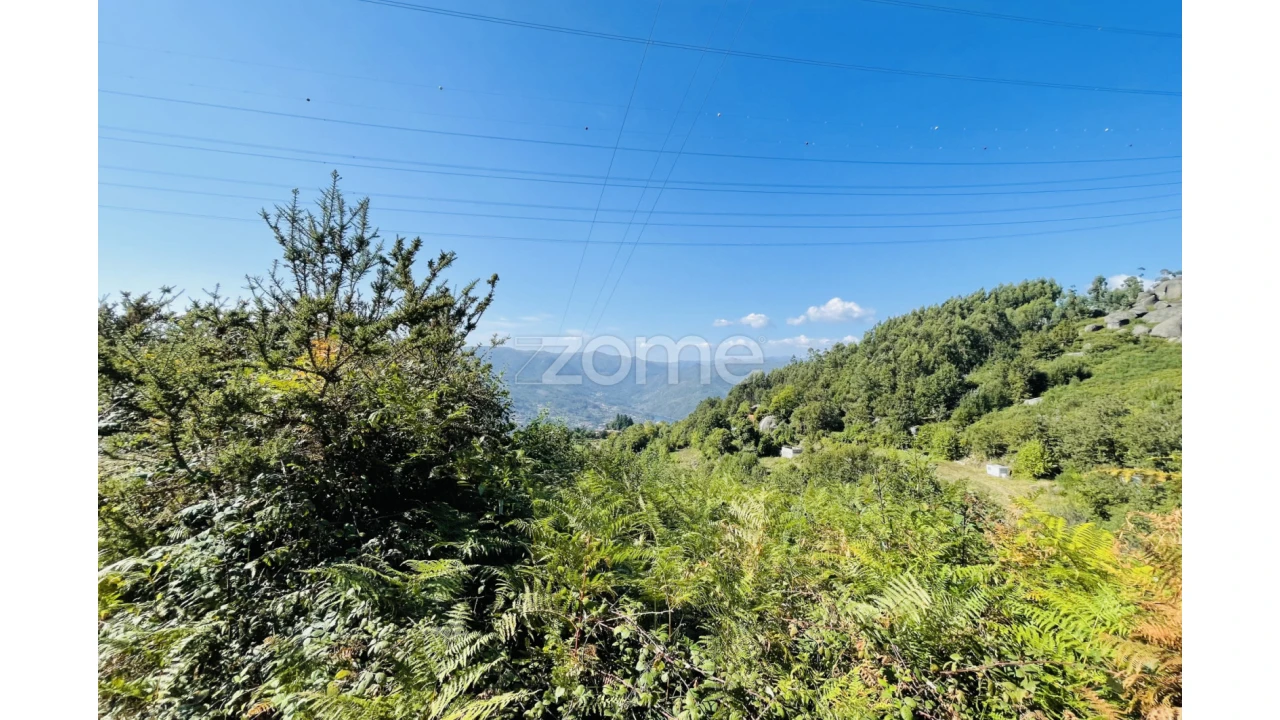 Terreno para Venda em Caniçada e Soengas Foto 4