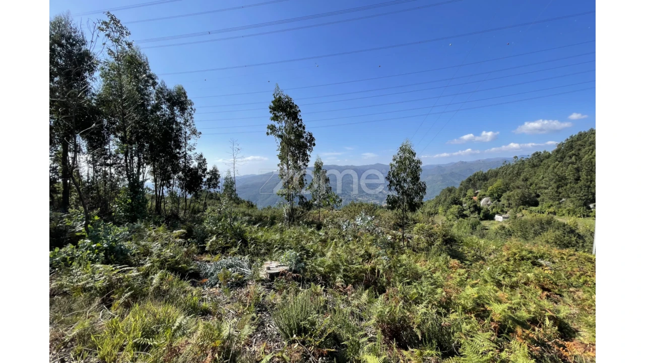 Terreno para Venda em Caniçada e Soengas Foto 12