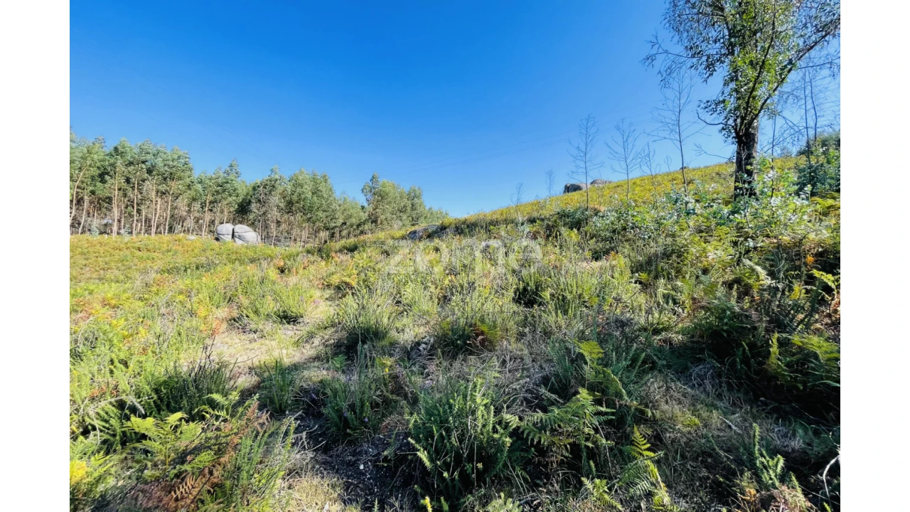 Terreno para Venda em Caniçada e Soengas Foto 15