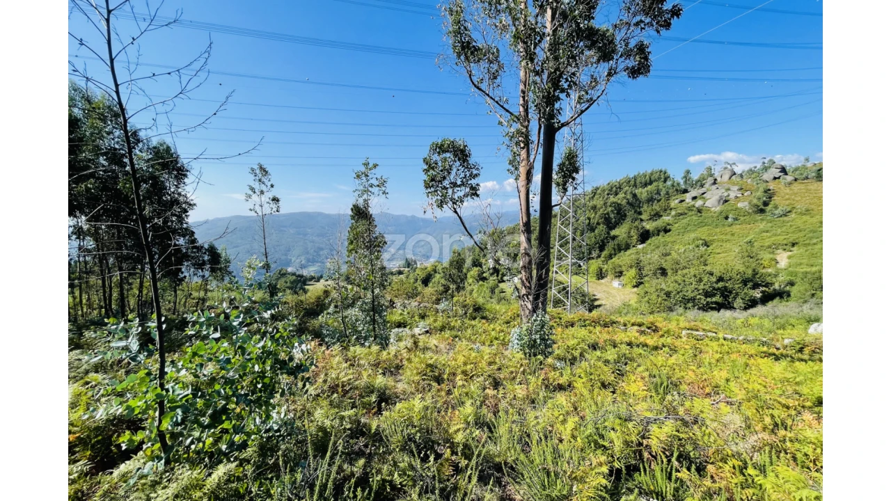 Terreno para Venda em Caniçada e Soengas Foto 16