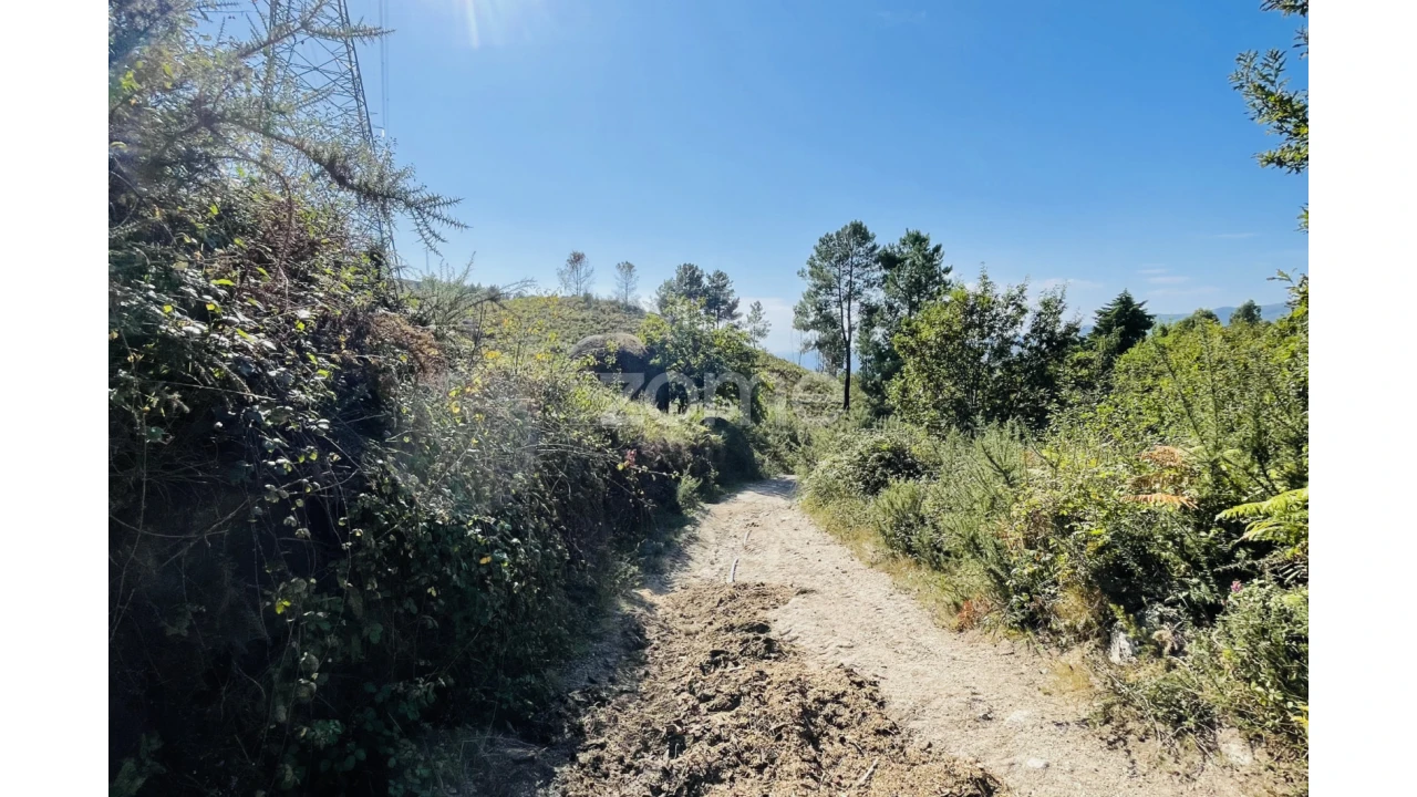 Terreno para Venda em Caniçada e Soengas Foto 20