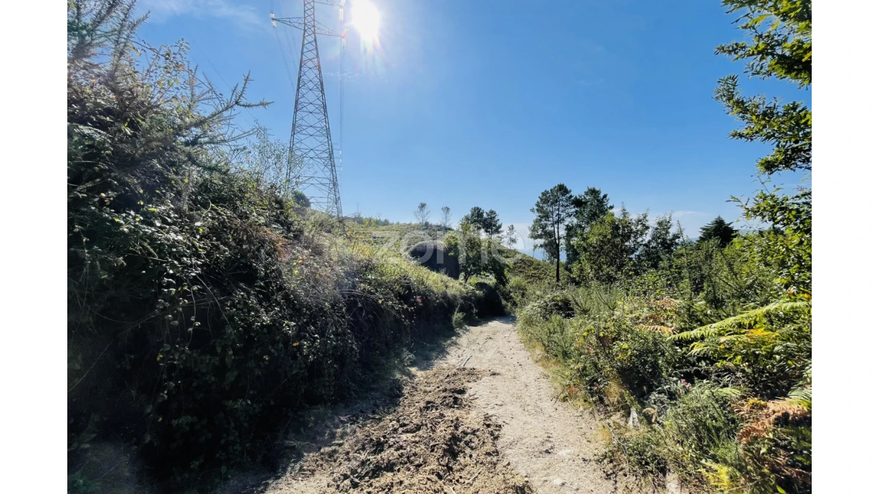 Terreno para Venda em Caniçada e Soengas Foto 21