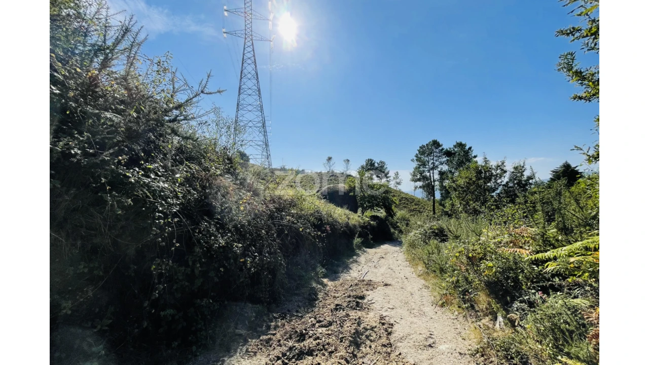 Terreno para Venda em Caniçada e Soengas Foto 23