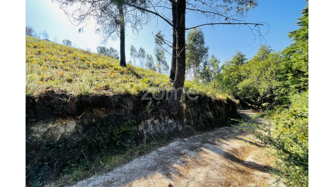 Terreno para Venda em Caniçada e Soengas Foto 25