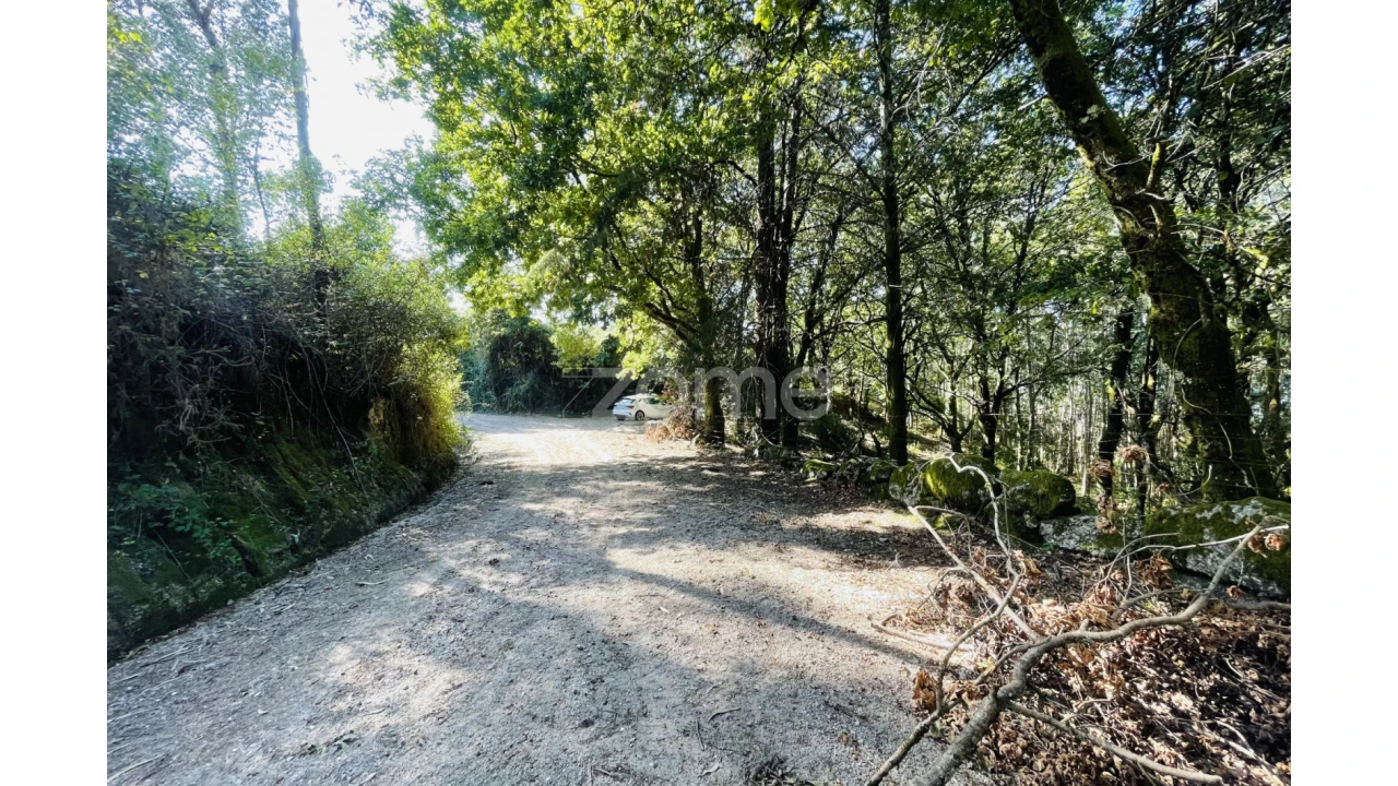 Terreno para Venda em Caniçada e Soengas Foto 29