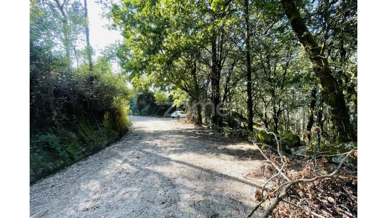 Terreno para Venda em Caniçada e Soengas Foto 30