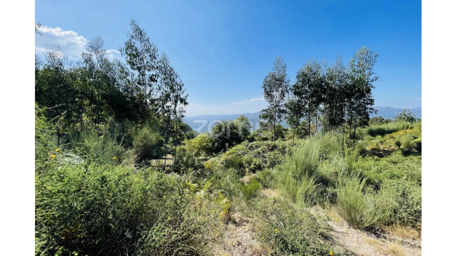 Terreno para Venda em Caniçada e Soengas Foto 12