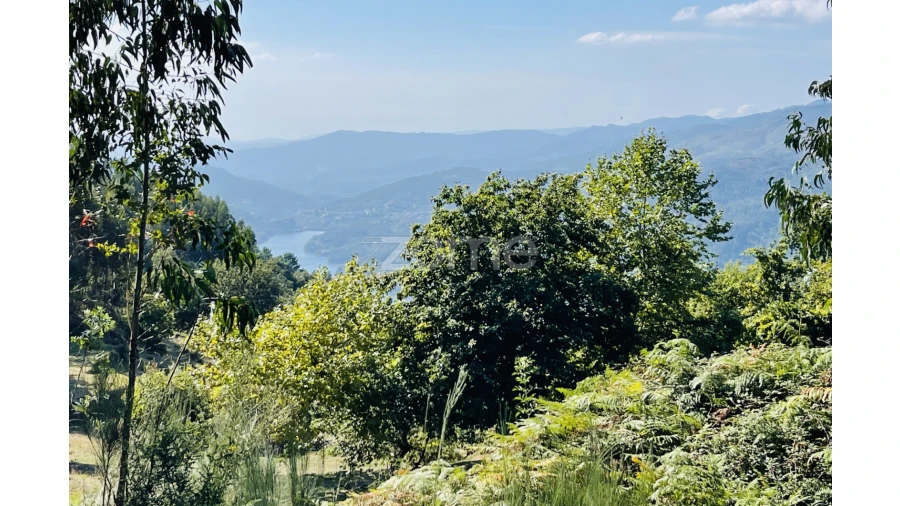 Terreno para Venda em Caniçada e Soengas Foto 5