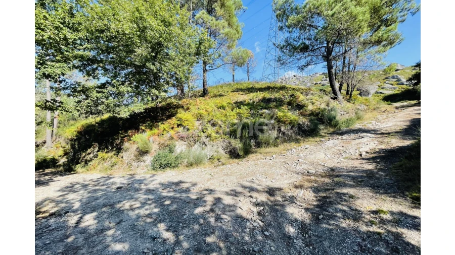 Terreno para Venda em Caniçada e Soengas Foto 16
