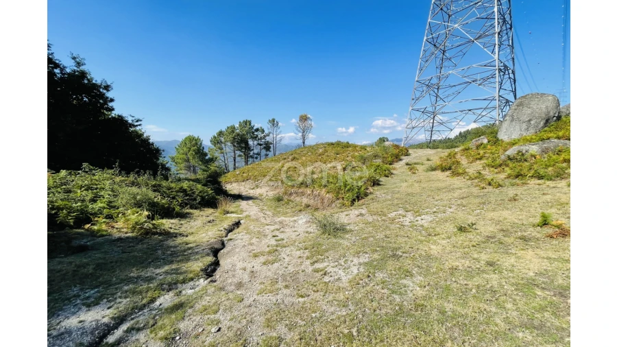 Terreno para Venda em Caniçada e Soengas Foto 17