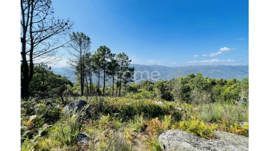 Terreno para Venda em Caniçada e Soengas Foto 19