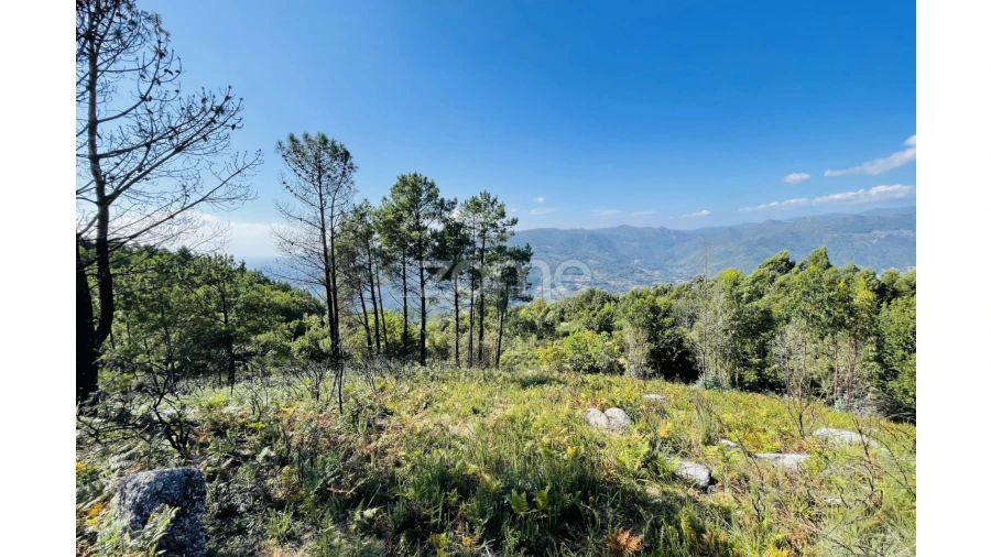 Terreno para Venda em Caniçada e Soengas Foto 20