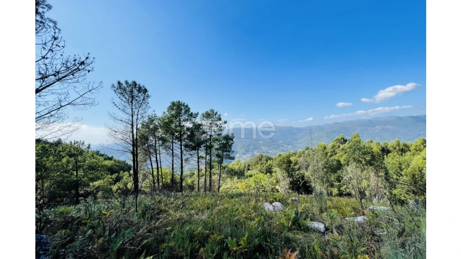 Terreno para Venda em Caniçada e Soengas Foto 24