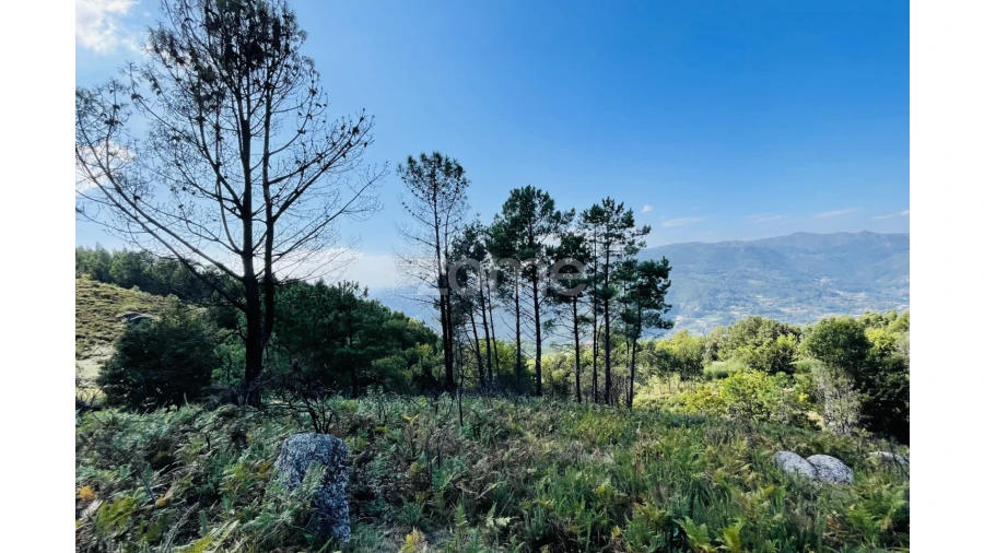 Terreno para Venda em Caniçada e Soengas Foto 25