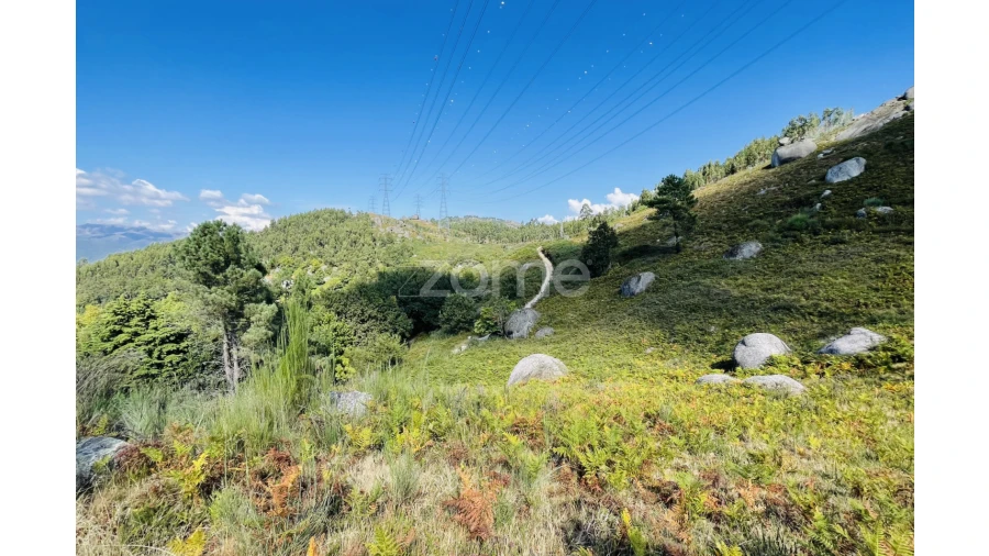 Terreno para Venda em Caniçada e Soengas Foto 28