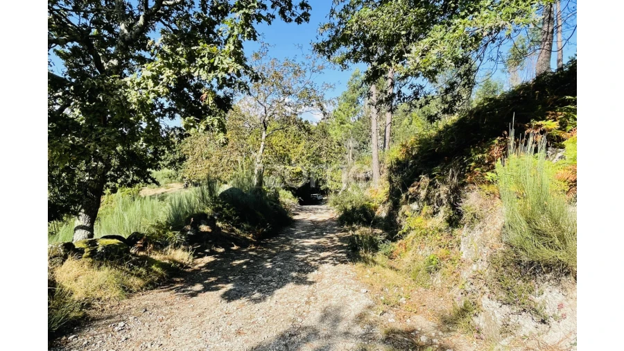 Terreno para Venda em Caniçada e Soengas Foto 33
