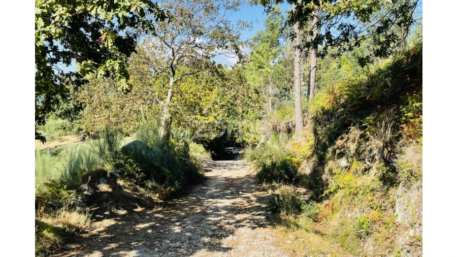 Terreno para Venda em Caniçada e Soengas Foto 35