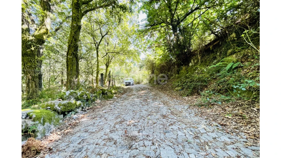 Terreno para Venda em Caniçada e Soengas Foto 39