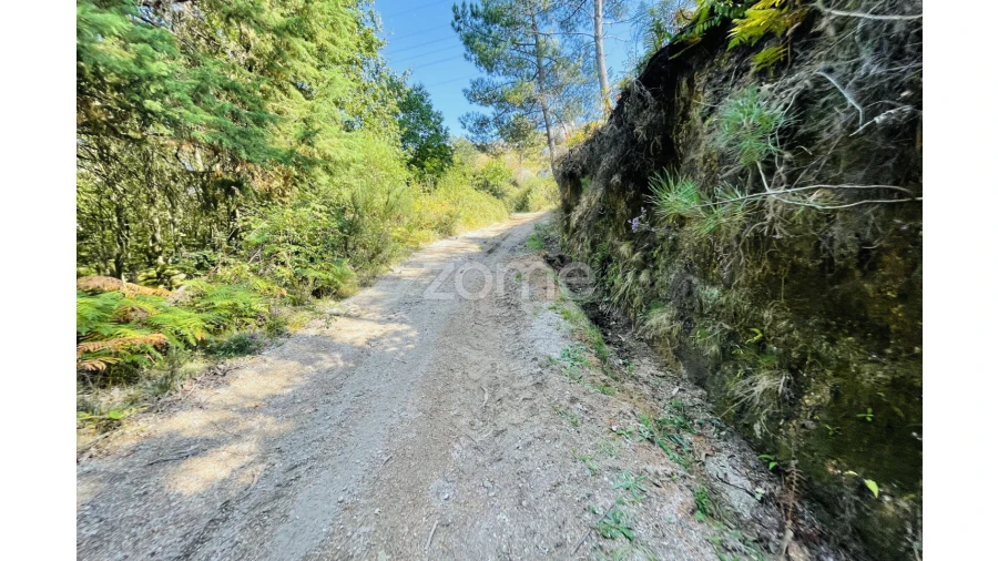 Terreno para Venda em Caniçada e Soengas Foto 41
