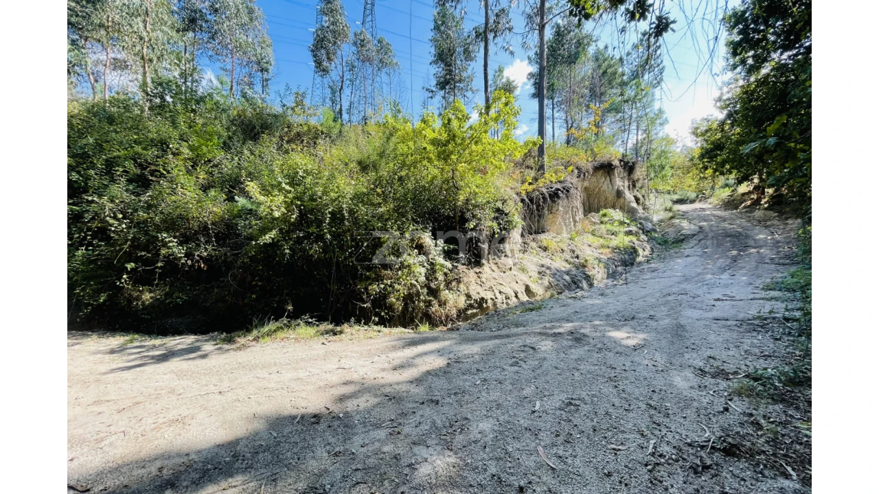 Terreno para Venda em Caniçada e Soengas Foto 10