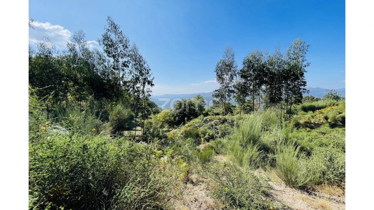 Terreno para Venda em Caniçada e Soengas Foto 12