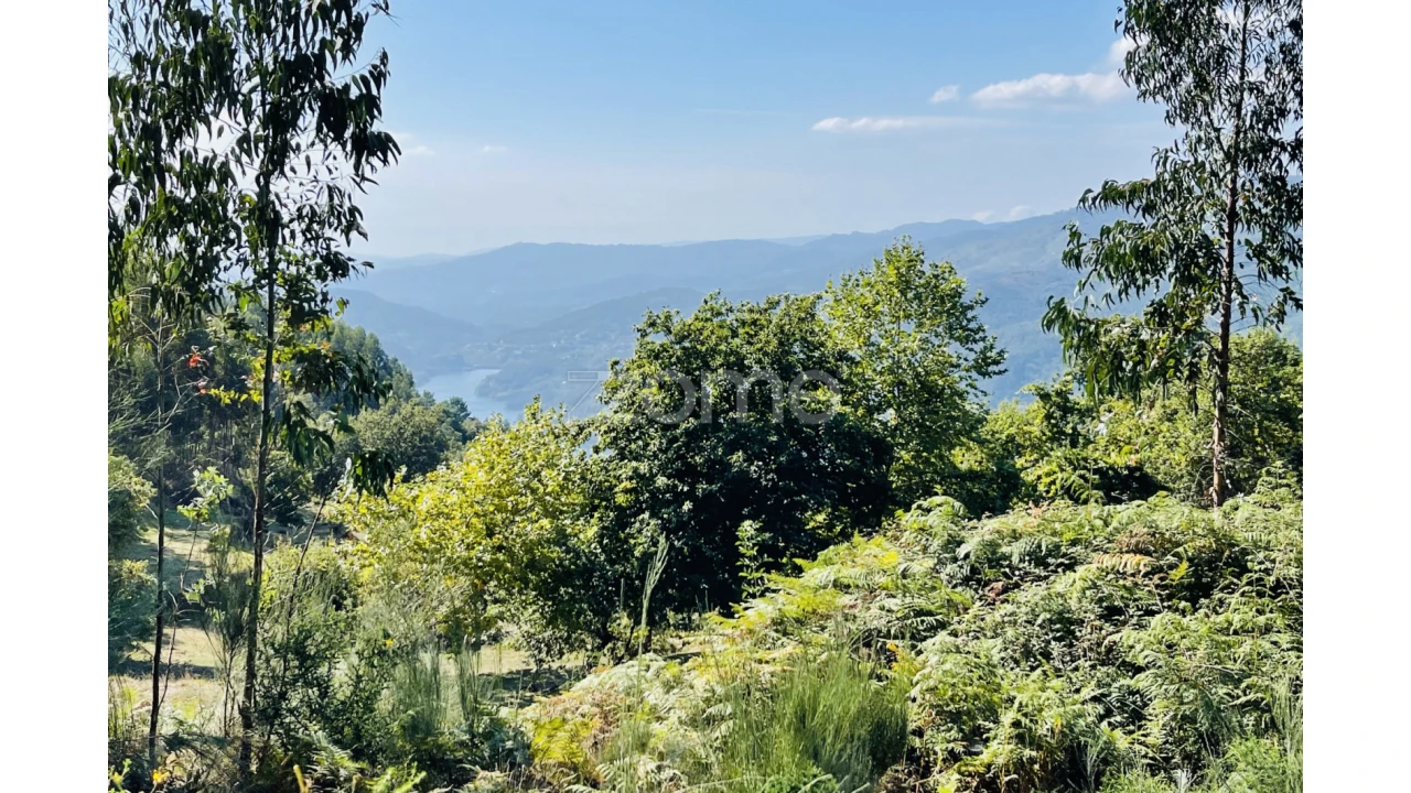 Terreno para Venda em Caniçada e Soengas Foto 4