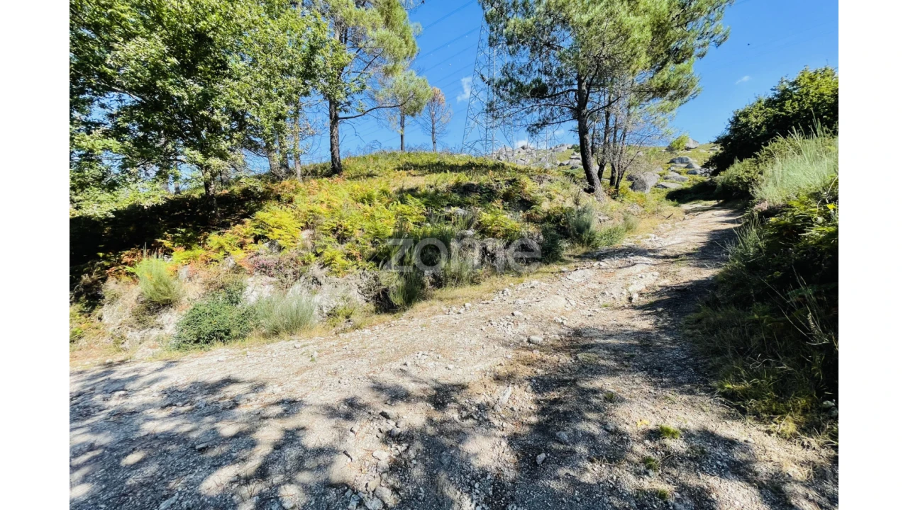 Terreno para Venda em Caniçada e Soengas Foto 13