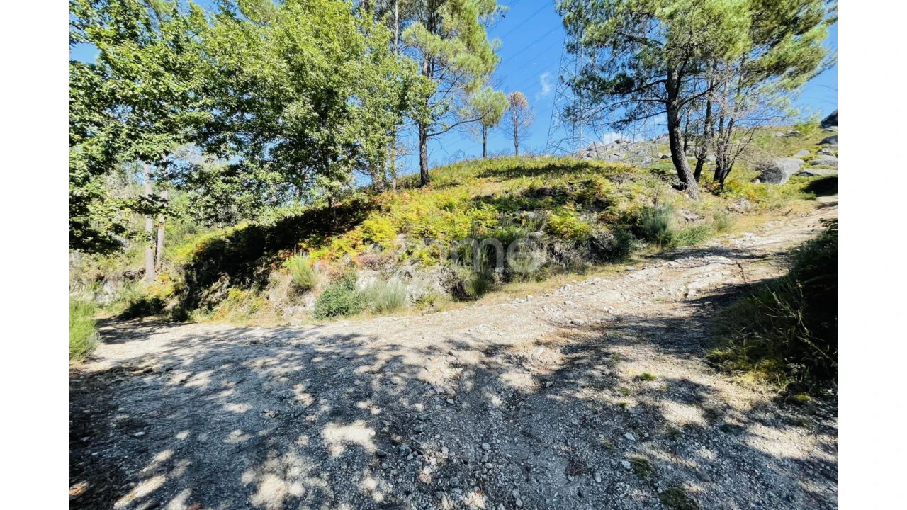 Terreno para Venda em Caniçada e Soengas Foto 14