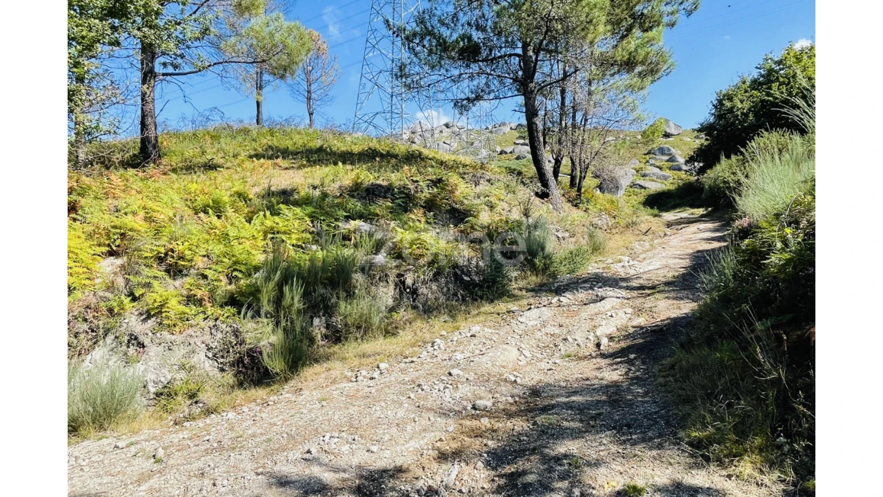 Terreno para Venda em Caniçada e Soengas Foto 15