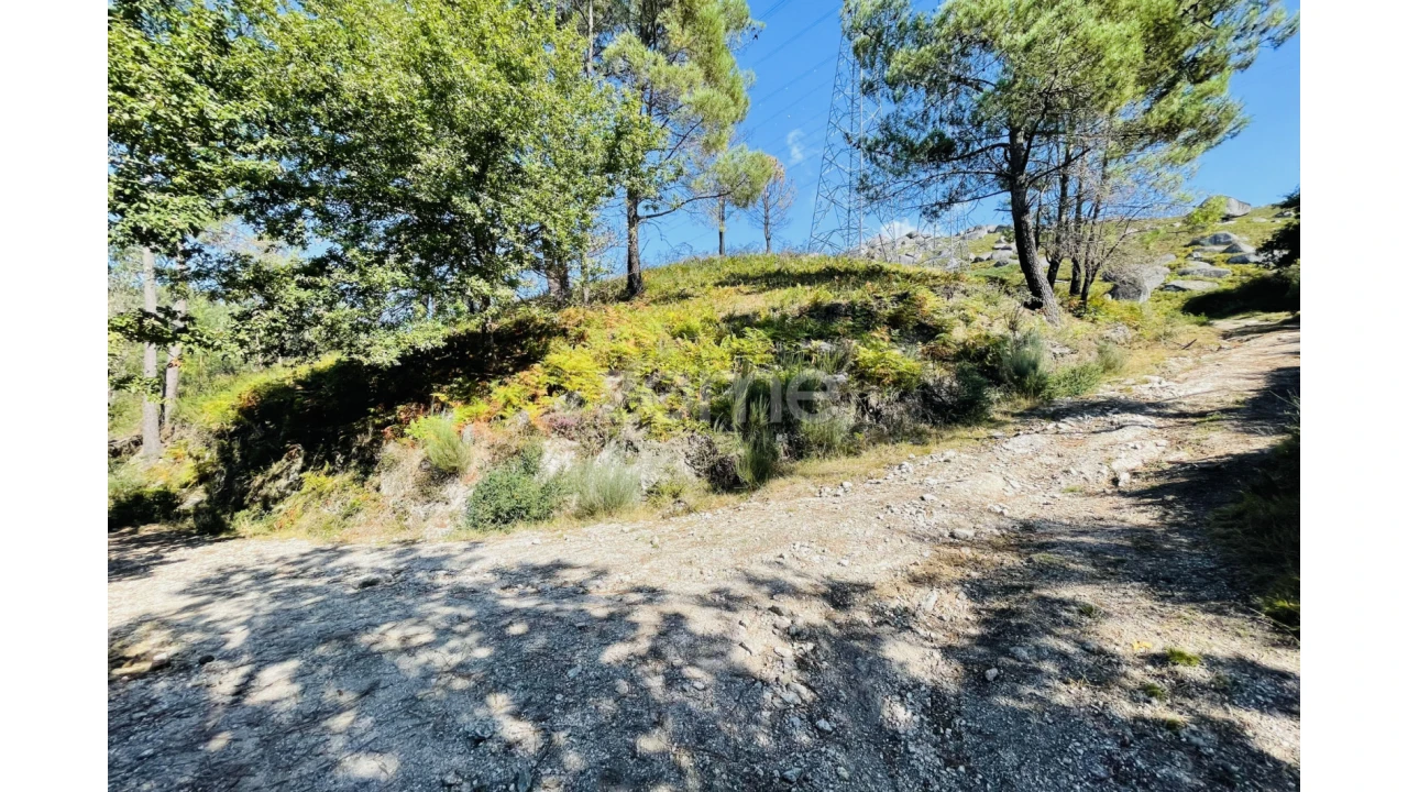 Terreno para Venda em Caniçada e Soengas Foto 16