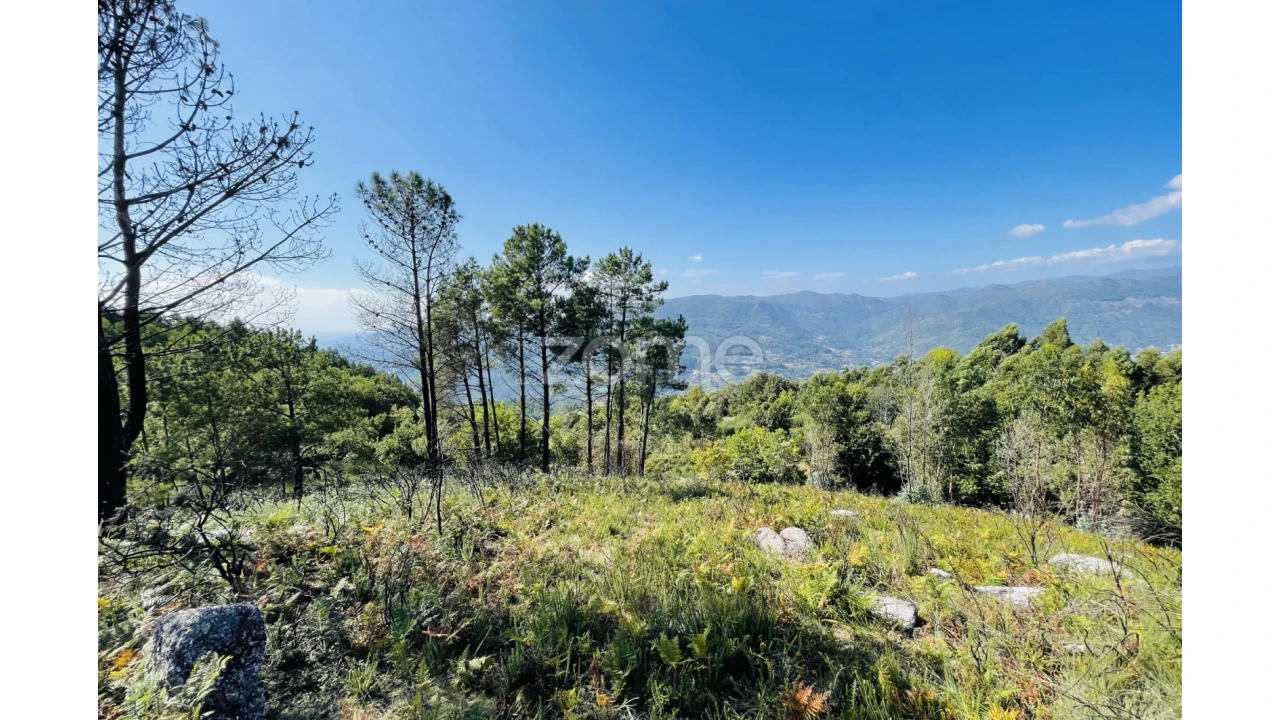 Terreno para Venda em Caniçada e Soengas Foto 20
