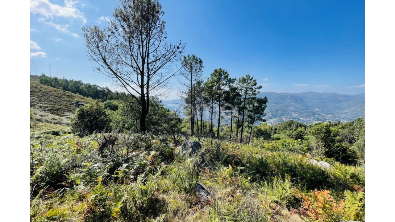 Terreno para Venda em Caniçada e Soengas Foto 21