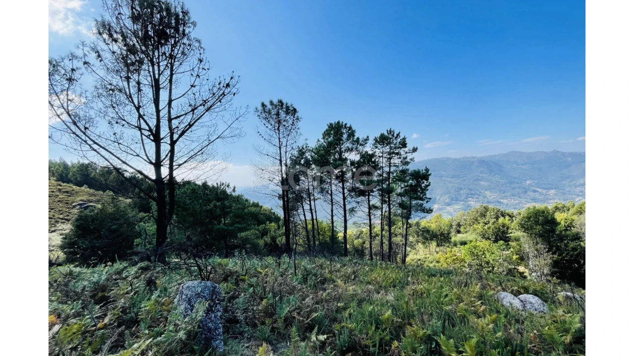 Terreno para Venda em Caniçada e Soengas Foto 23