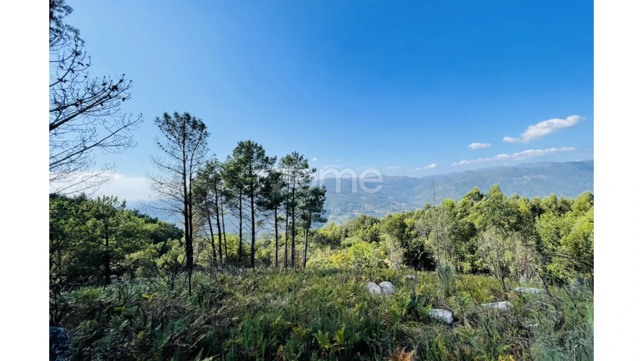 Terreno para Venda em Caniçada e Soengas Foto 24