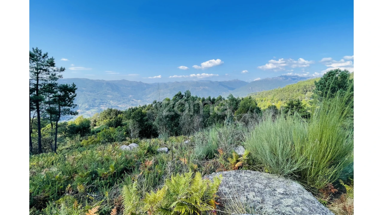 Terreno para Venda em Caniçada e Soengas Foto 26