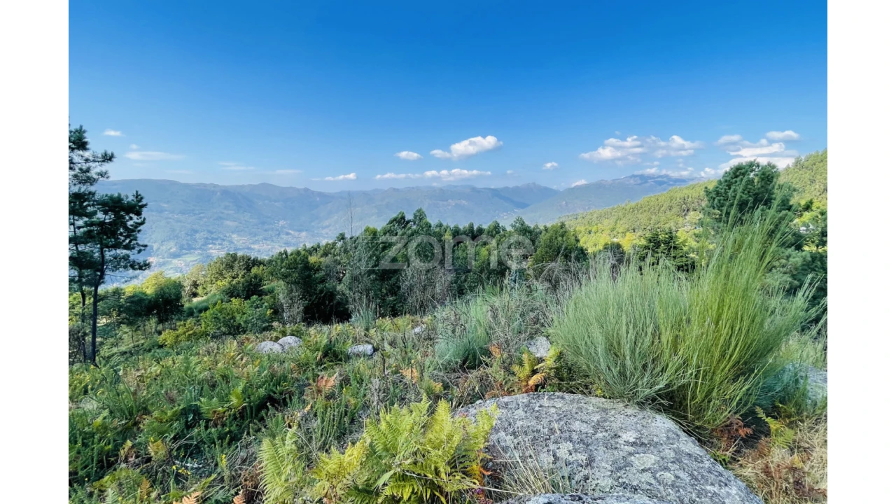 Terreno para Venda em Caniçada e Soengas Foto 27