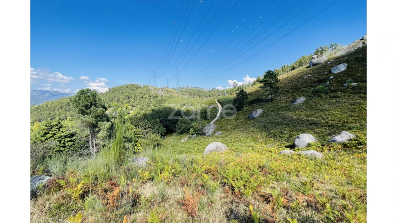 Terreno para Venda em Caniçada e Soengas Foto 28