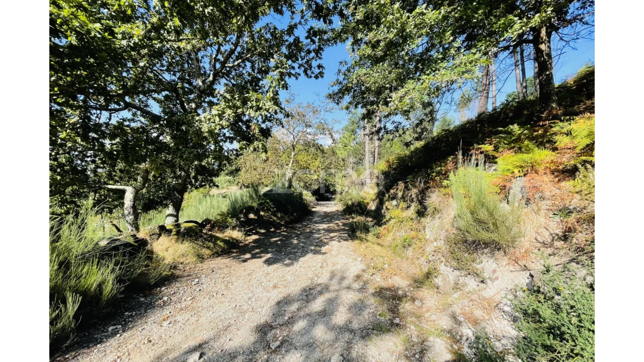 Terreno para Venda em Caniçada e Soengas Foto 32