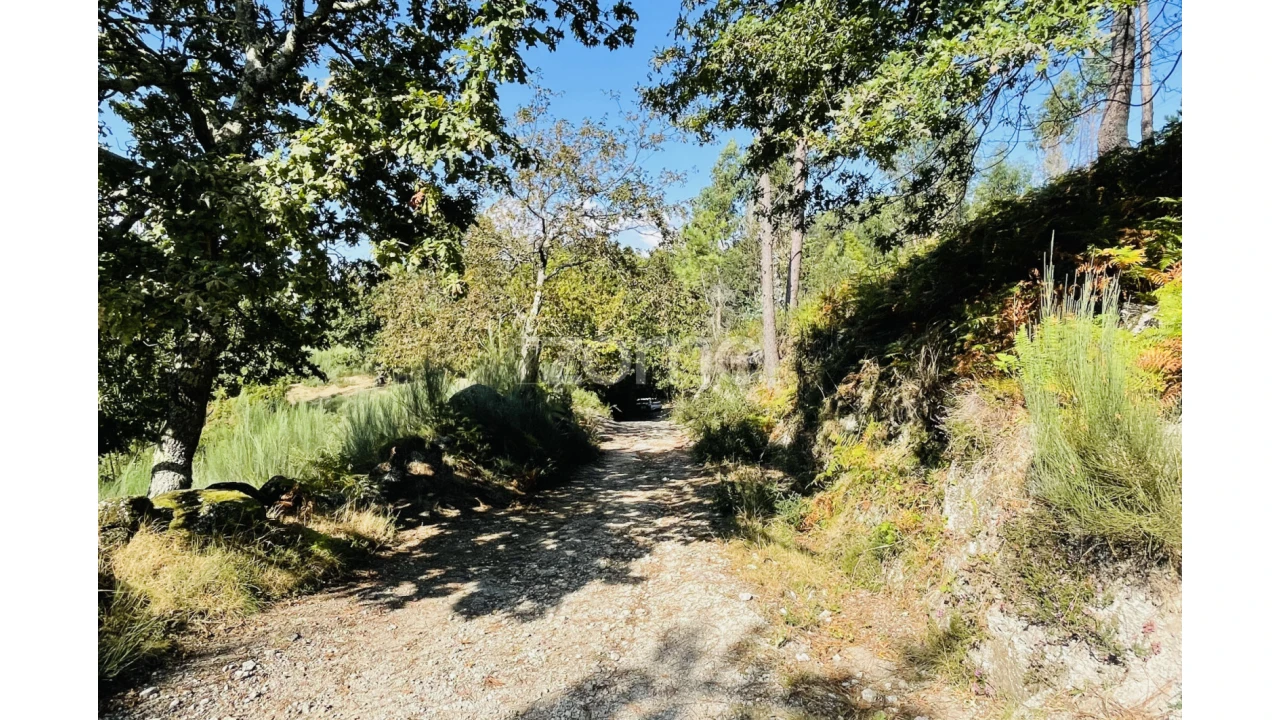 Terreno para Venda em Caniçada e Soengas Foto 33